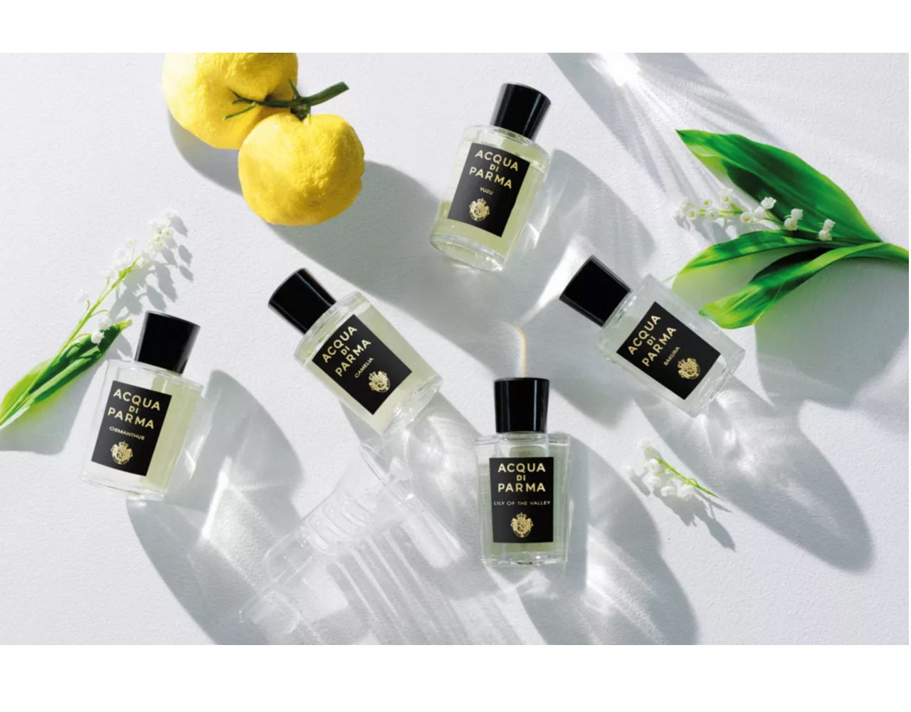 Acqua Di Parma  Lily Of The Valley EDP 100 ml - Image 3